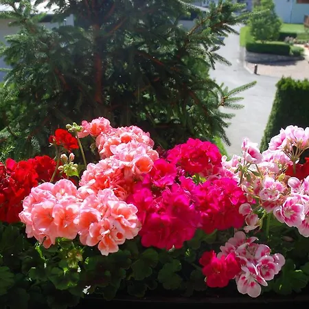 Sportpension Christina By Piaunddirk Guest house Fuegen