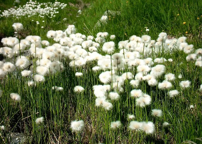 Sportpension Christina By Piaunddirk 3*