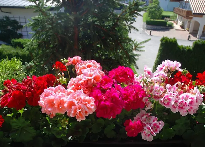 Sportpension Christina By Piaunddirk Pensión Fügen